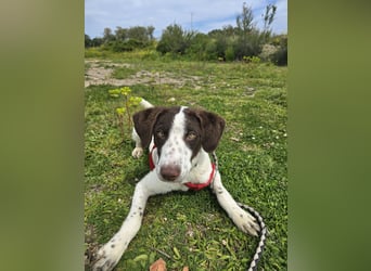 Befanino: er liebt Menschen über alles