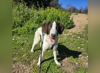 Befanino: er liebt Menschen über alles