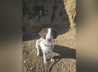 Befanino: er liebt Menschen über alles