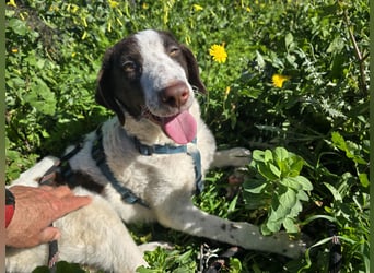 Befanino: er liebt Menschen über alles