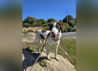 Befanino: er liebt Menschen über alles