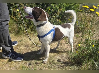 Befanino: er liebt Menschen über alles