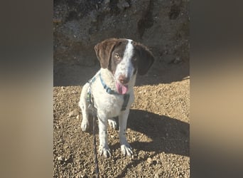 Befanino: er liebt Menschen über alles