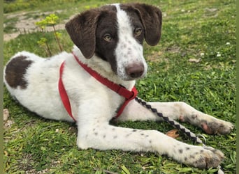 Befanino: er liebt Menschen über alles