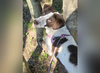 Befanino: er liebt Menschen über alles