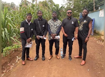 Labrador retriever Hündin – geimpft, entwurmt, gechipt, mit EU-Heimtierausweis