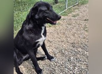 Sofia - menschenbezogene Schmusebacke Sofia - menschenbezogene Schmusebacke