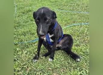 Sofia - menschenbezogene Schmusebacke Sofia - menschenbezogene Schmusebacke