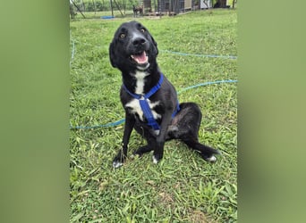 Sofia - menschenbezogene Schmusebacke Sofia - menschenbezogene Schmusebacke