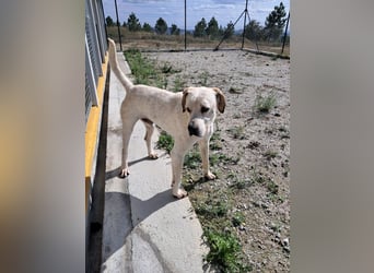 ❤️ MOISES ❤️