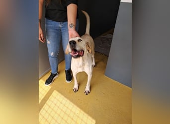 ❤️ MOISES ❤️