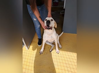 ❤️ MOISES ❤️