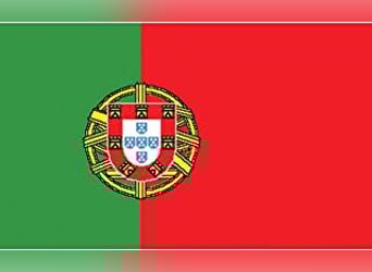 ❤️ MOISES ❤️