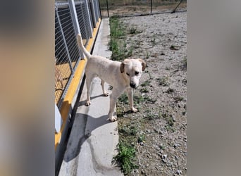 ❤️ MOISES ❤️