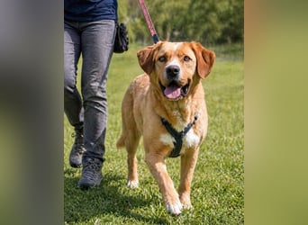 Valentim - ein Powerpaket