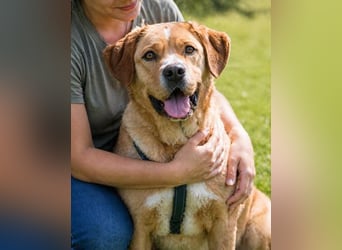 Valentim - ein Powerpaket