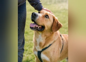 Valentim - ein Powerpaket