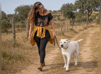 Lucas - ein aktiver Begleiter