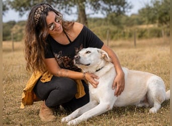 Lucas - ein aktiver Begleiter