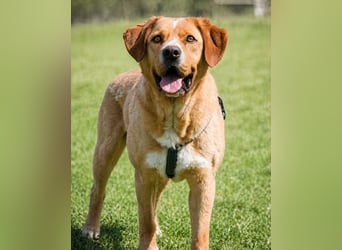 Valentim - ein Powerpaket