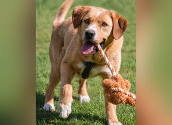 Valentim - ein Powerpaket