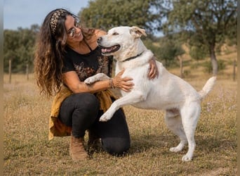 Lucas - ein aktiver Begleiter