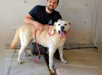 Daffyd - Zwei Seelen. Zwei Geschichten. Ein Ziel. Daffyd - Zwei Seelen. Zwei Geschichten. Ein Ziel.