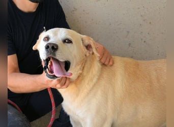 Daffyd - Zwei Seelen. Zwei Geschichten. Ein Ziel. Daffyd - Zwei Seelen. Zwei Geschichten. Ein Ziel.