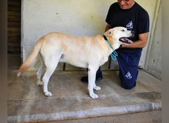 Daffyd - Zwei Seelen. Zwei Geschichten. Ein Ziel. Daffyd - Zwei Seelen. Zwei Geschichten. Ein Ziel.