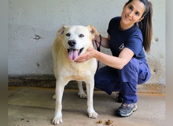 Daffyd - Zwei Seelen. Zwei Geschichten. Ein Ziel. Daffyd - Zwei Seelen. Zwei Geschichten. Ein Ziel.