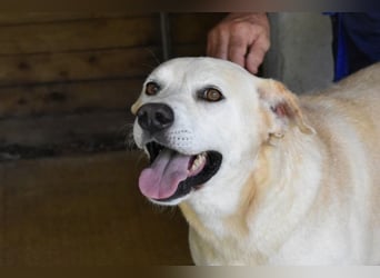 Daffyd - Zwei Seelen. Zwei Geschichten. Ein Ziel. Daffyd - Zwei Seelen. Zwei Geschichten. Ein Ziel.