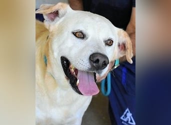 Daffyd - Zwei Seelen. Zwei Geschichten. Ein Ziel. Daffyd - Zwei Seelen. Zwei Geschichten. Ein Ziel.