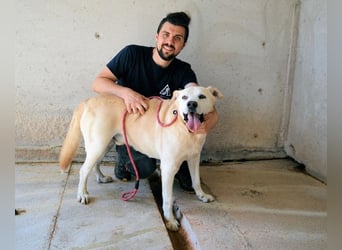 Daffyd - Zwei Seelen. Zwei Geschichten. Ein Ziel. Daffyd - Zwei Seelen. Zwei Geschichten. Ein Ziel.