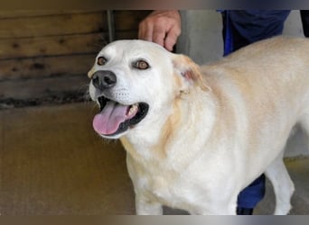 Daffyd - Zwei Seelen. Zwei Geschichten. Ein Ziel. Daffyd - Zwei Seelen. Zwei Geschichten. Ein Ziel.