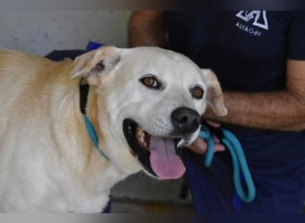 Daffyd - Zwei Seelen. Zwei Geschichten. Ein Ziel. Daffyd - Zwei Seelen. Zwei Geschichten. Ein Ziel.