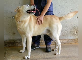 Daffyd - Zwei Seelen. Zwei Geschichten. Ein Ziel. Daffyd - Zwei Seelen. Zwei Geschichten. Ein Ziel.