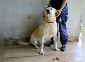 Daffyd - Zwei Seelen. Zwei Geschichten. Ein Ziel. Daffyd - Zwei Seelen. Zwei Geschichten. Ein Ziel.