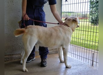 Daffyd - Zwei Seelen. Zwei Geschichten. Ein Ziel. Daffyd - Zwei Seelen. Zwei Geschichten. Ein Ziel.