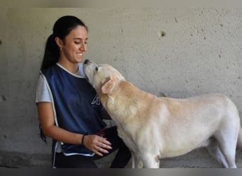 Daffyd - Zwei Seelen. Zwei Geschichten. Ein Ziel. Daffyd - Zwei Seelen. Zwei Geschichten. Ein Ziel.