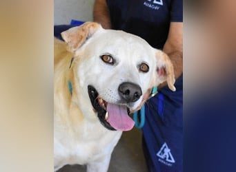 Daffyd - Zwei Seelen. Zwei Geschichten. Ein Ziel. Daffyd - Zwei Seelen. Zwei Geschichten. Ein Ziel.