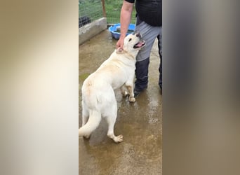 Blondo - sieht mit dem Herzen Blondo - sieht mit dem Herzen
