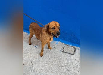 Tommy, hatte noch nie eine Anfrage