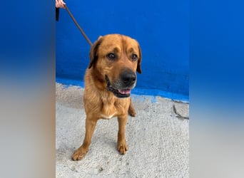 Tommy, hatte noch nie eine Anfrage