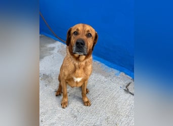 Tommy, hatte noch nie eine Anfrage