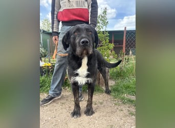 Helmut KK – wünscht sich eine liebe Familie