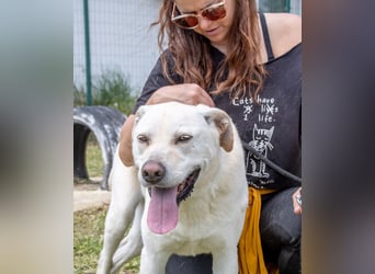 Lucas - ein aktiver Begleiter Lucas - ein aktiver Begleiter