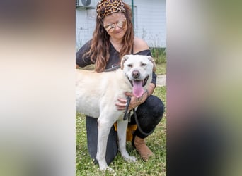 Lucas - ein aktiver Begleiter Lucas - ein aktiver Begleiter