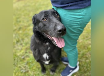 Sjena ein kräftiges Mädchen