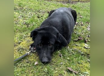 Sjena ein kräftiges Mädchen