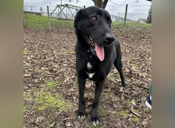 Sjena ein kräftiges Mädchen